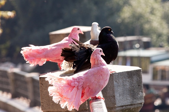 特别是他在 特别是他在