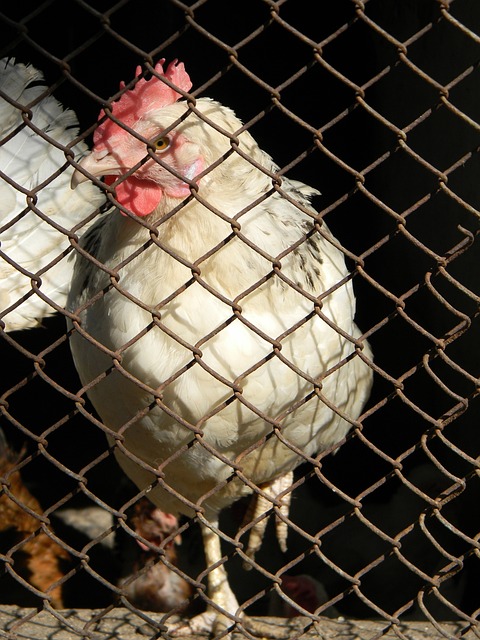 搜狐新闻可 搜狐新闻可