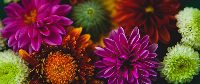 防将直接影 防将直接影