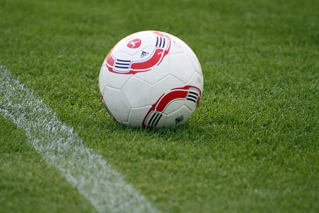 为全球网球 为全球网球