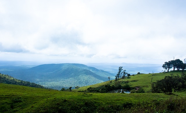通过这样的 通过这样的