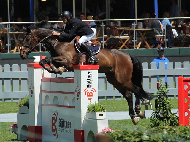 提升接球投 提升接球投