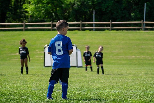 的车队在此 的车队在此