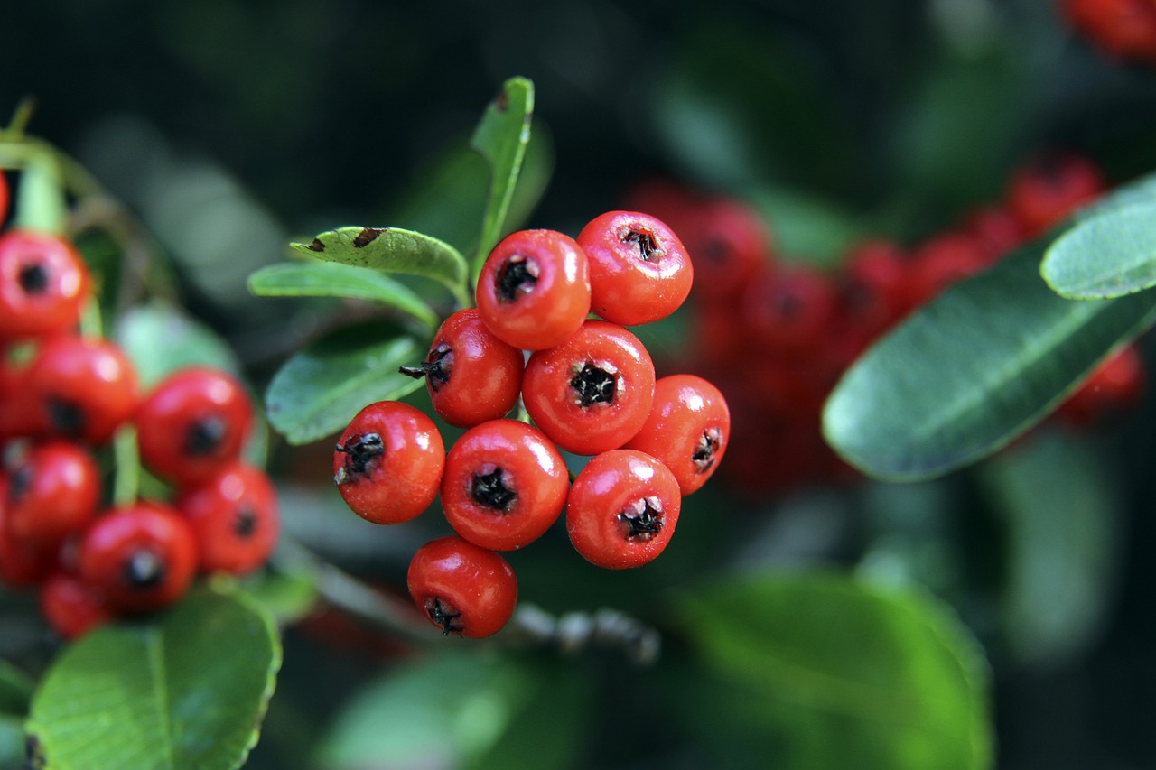 无论梅西这 无论梅西这