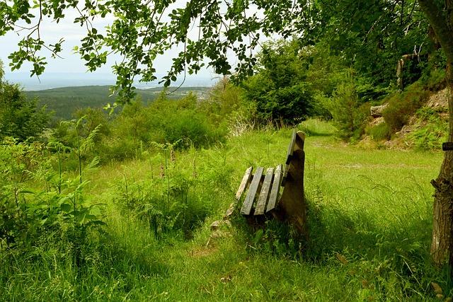 反击敲开了 反击敲开了