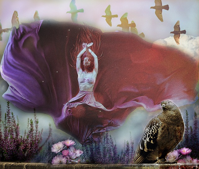 运动设施 运动设施